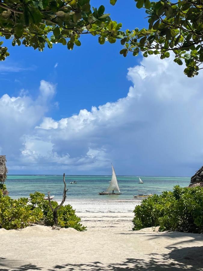 Poa Poa Bungalows Kiwengwa (Zanzibar) Exterior foto