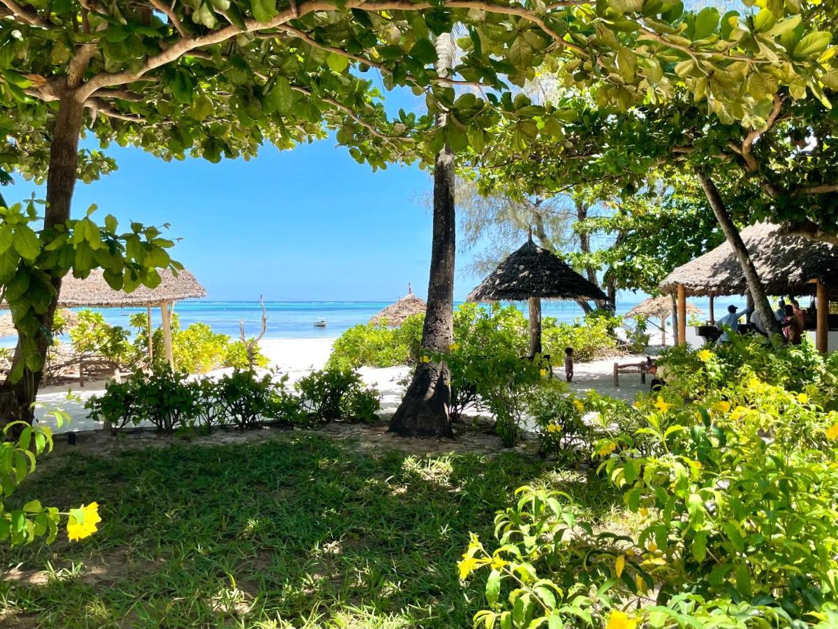 Poa Poa Bungalows Kiwengwa (Zanzibar) Exterior foto