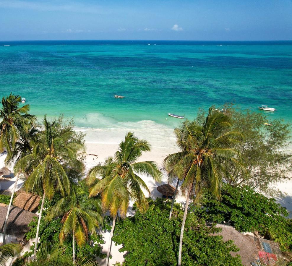 Poa Poa Bungalows Kiwengwa (Zanzibar) Exterior foto