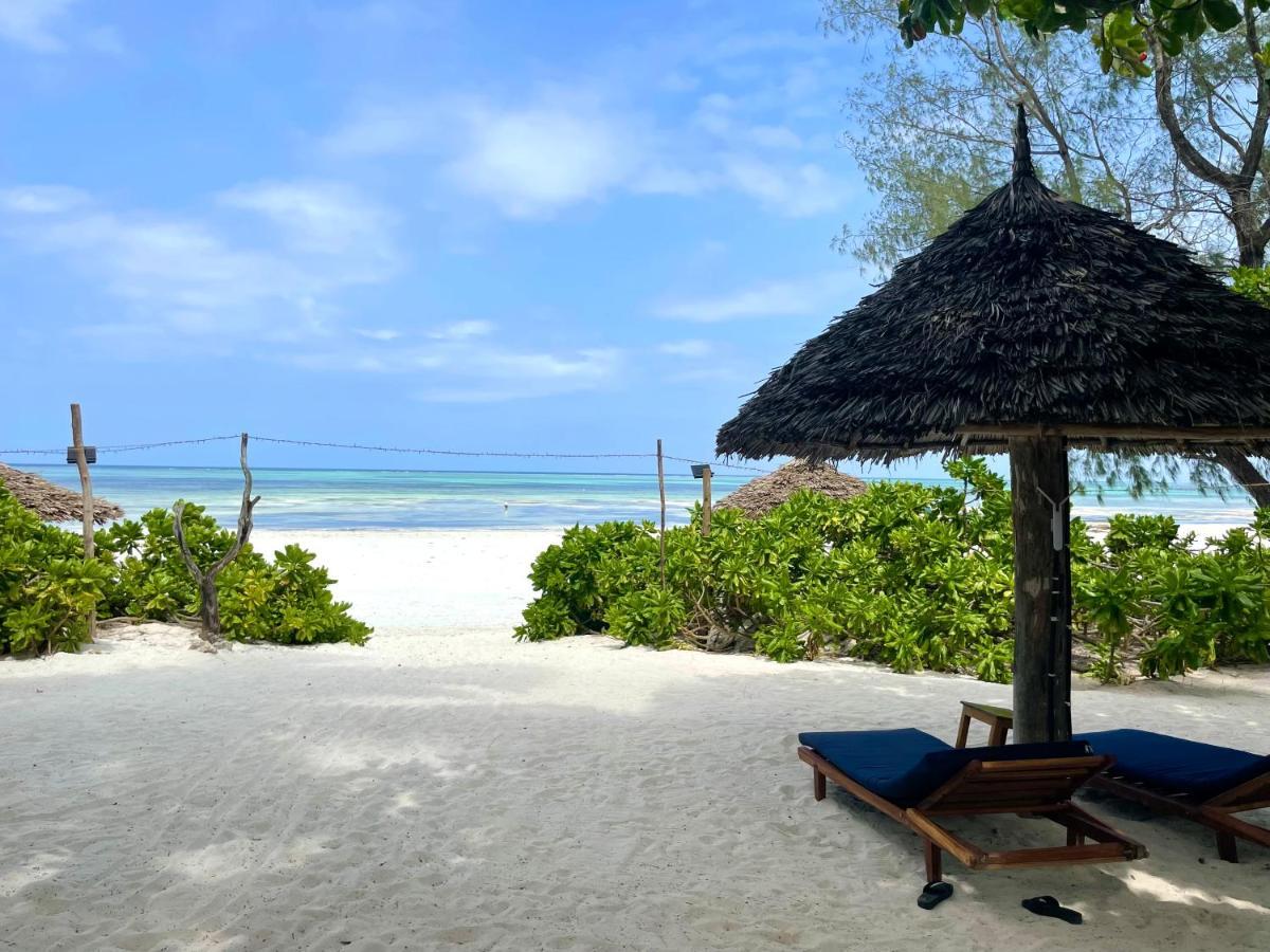 Poa Poa Bungalows Kiwengwa (Zanzibar) Exterior foto